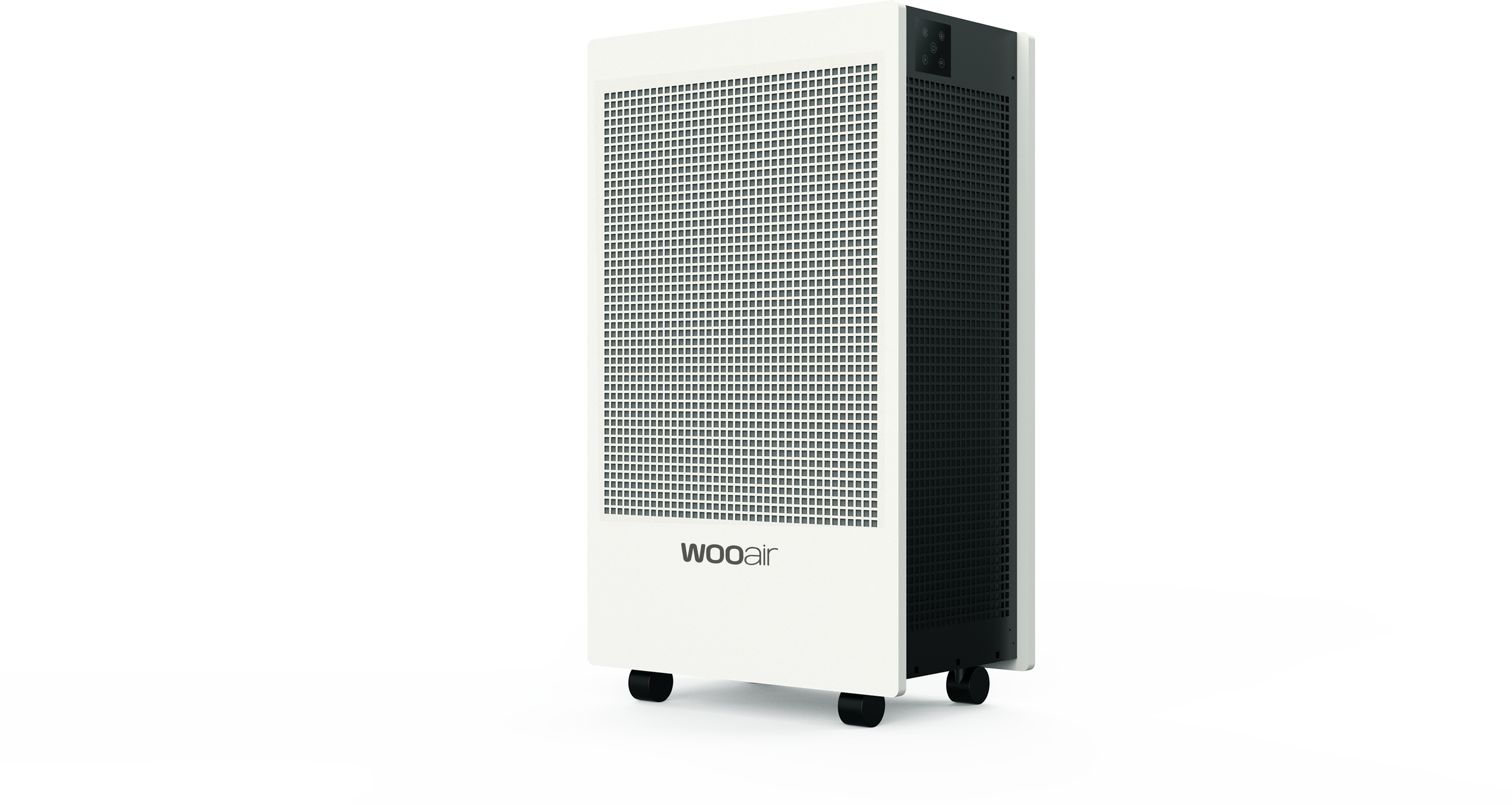 Air Purifier - mass production project，