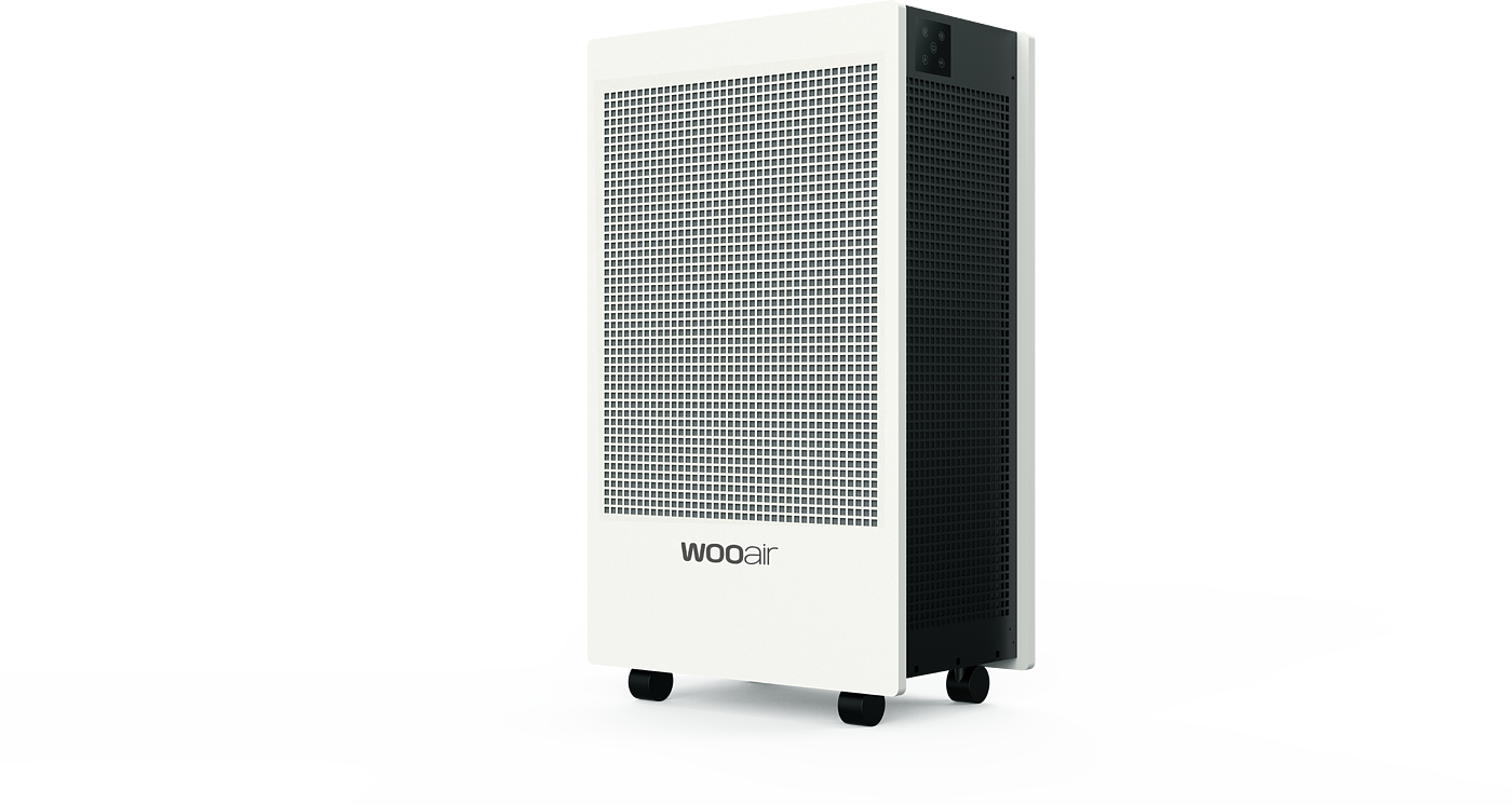 Air Purifier - mass production project，