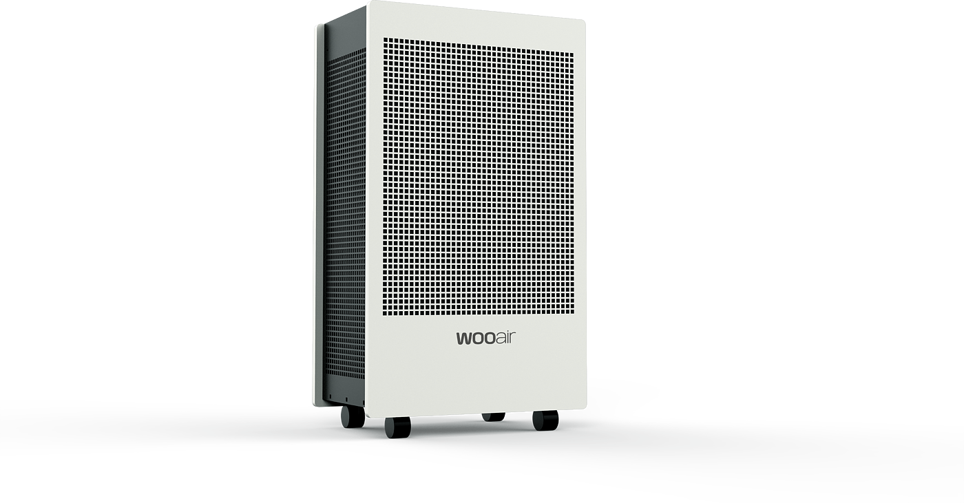 Air Purifier - mass production project，