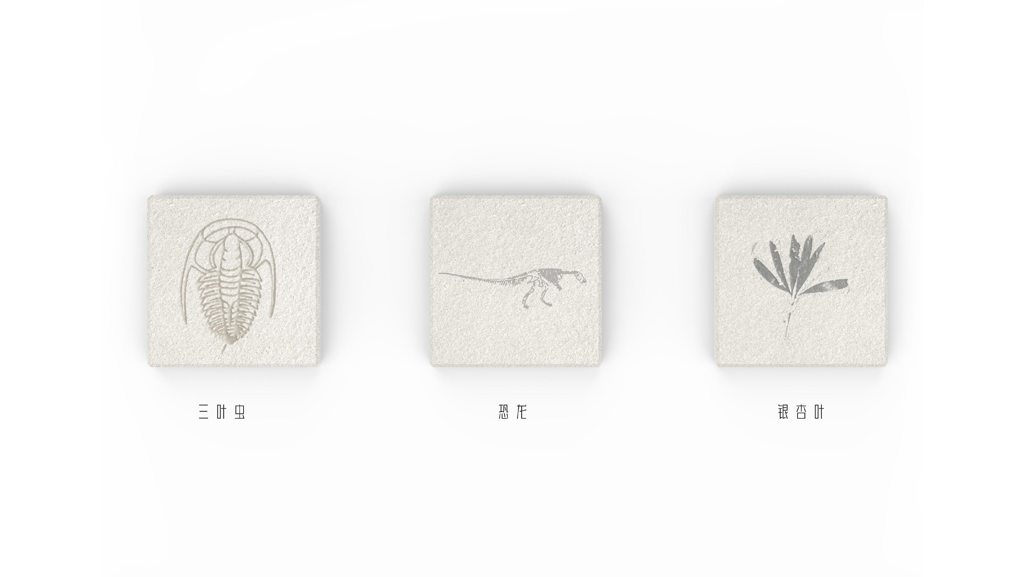 Cultural creation，ancient extinct life，museum，