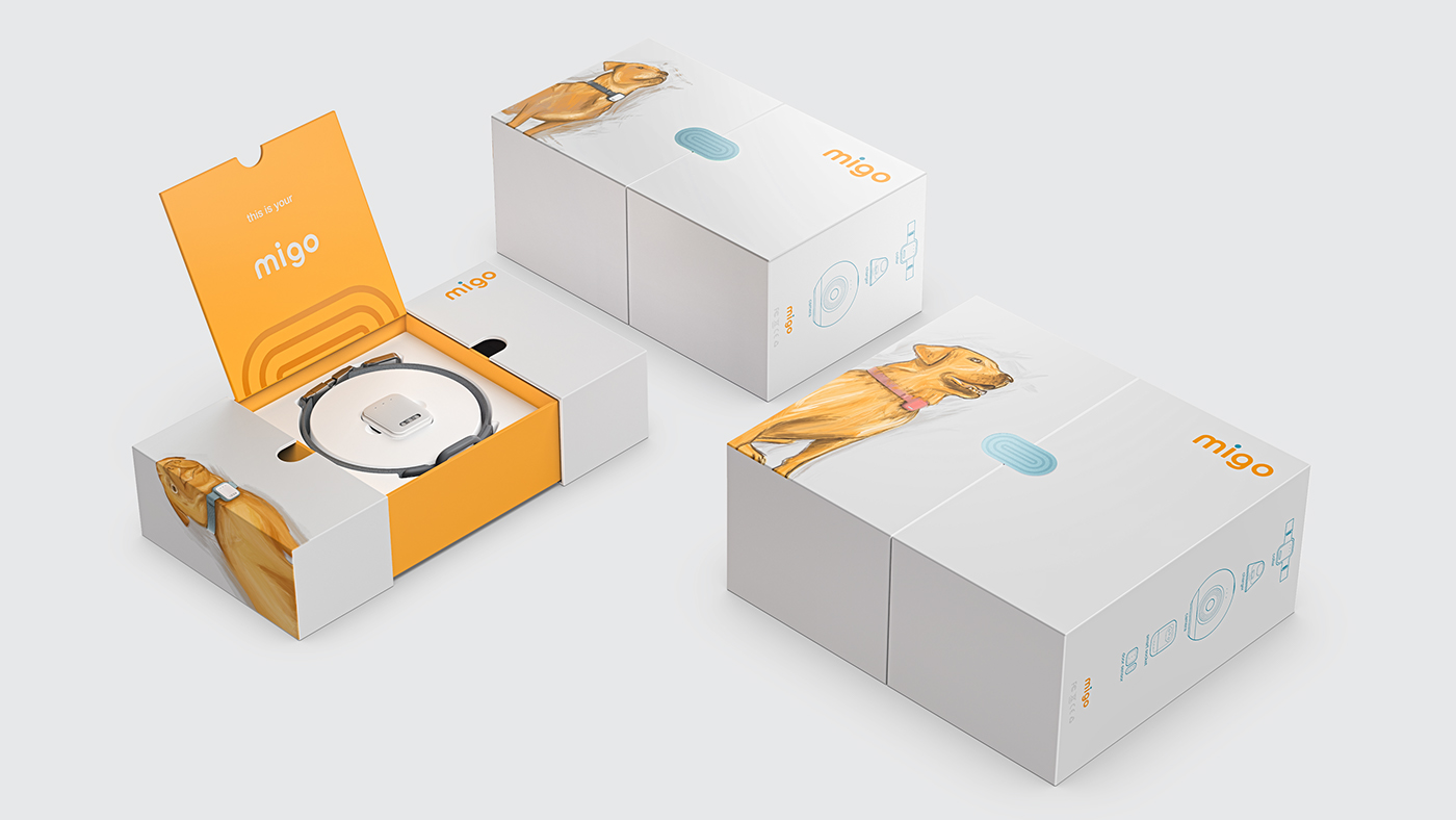 Intelligent device for dog，