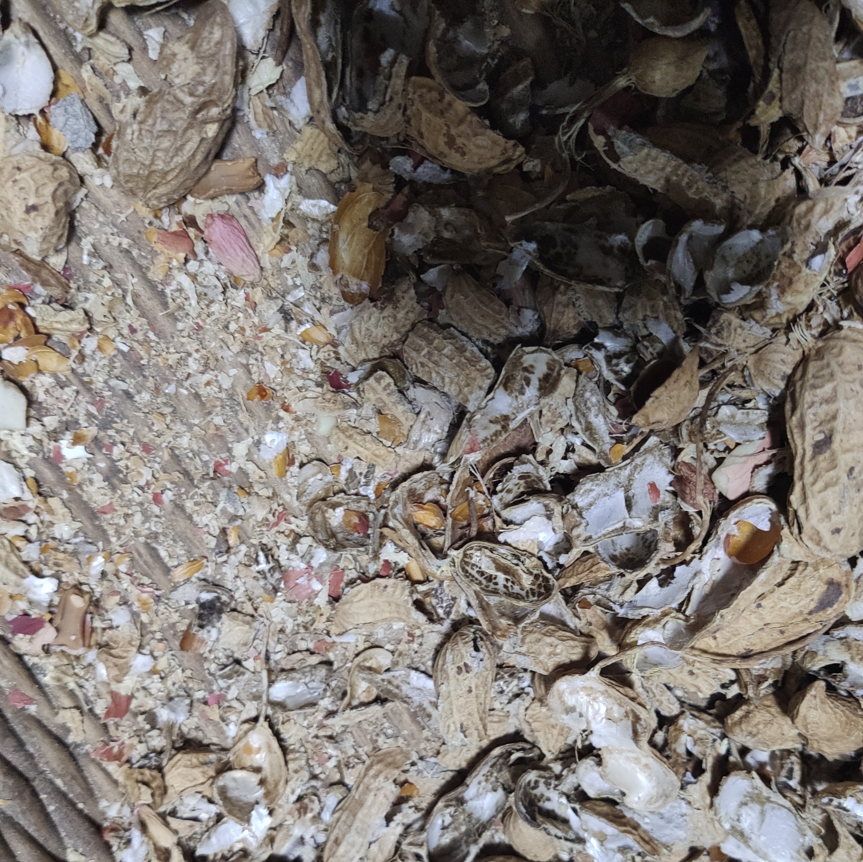 Materials and workmanship (infringement of original products must be investigated)，