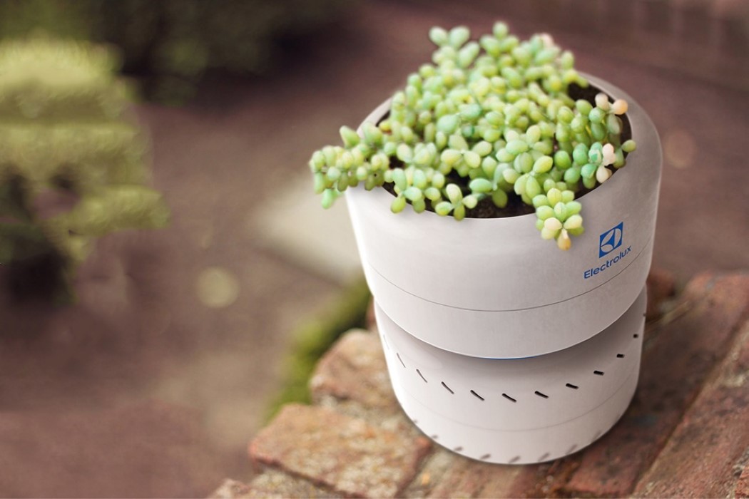 Pets，intelligence，originality，Design，