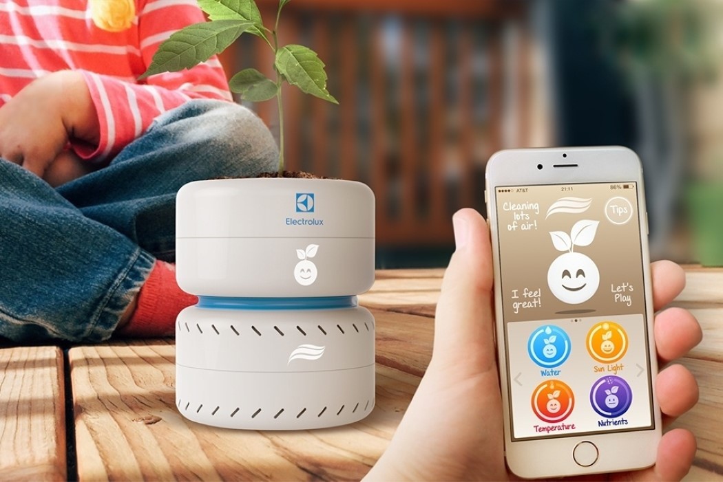 Pets，intelligence，originality，Design，