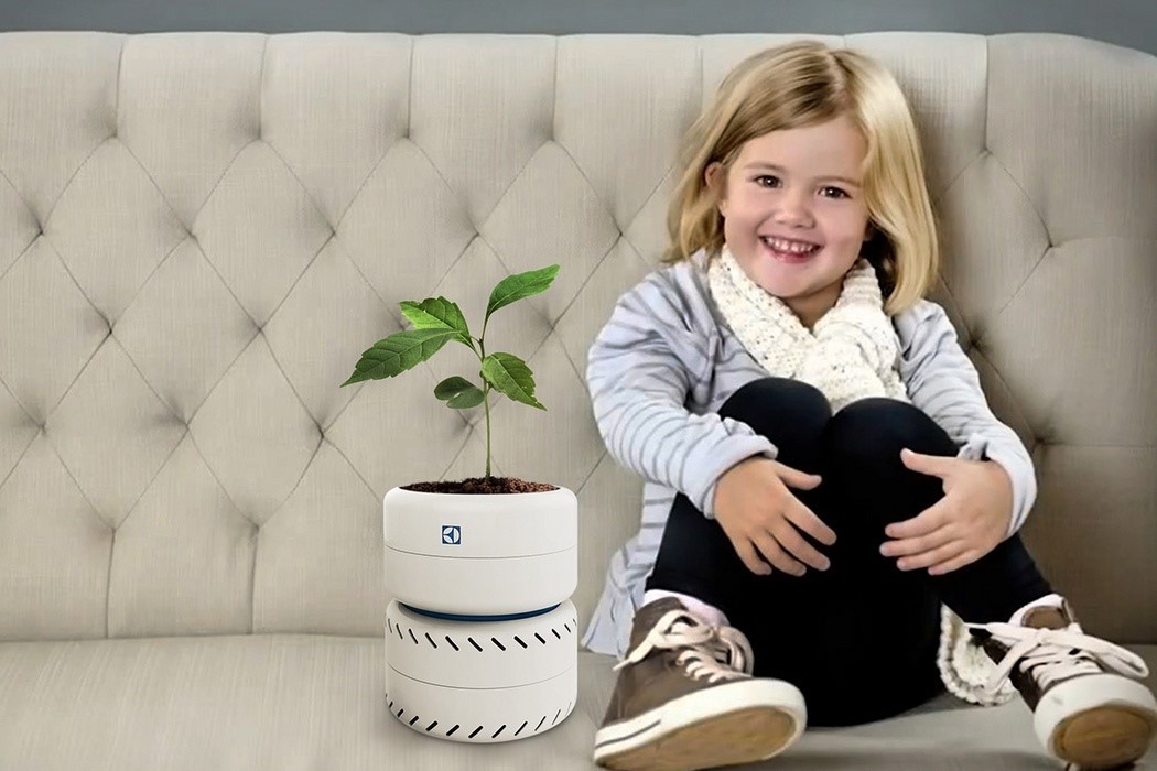 Pets，intelligence，originality，Design，