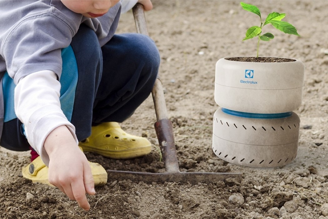 Pets，intelligence，originality，Design，