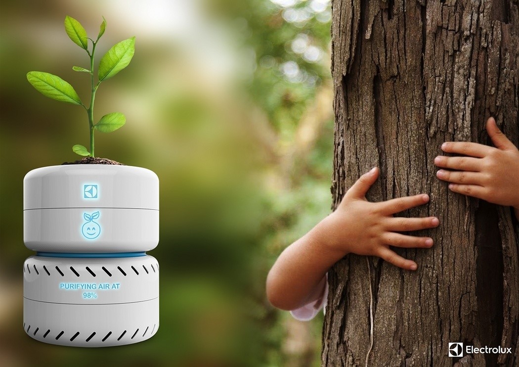 Pets，intelligence，originality，Design，