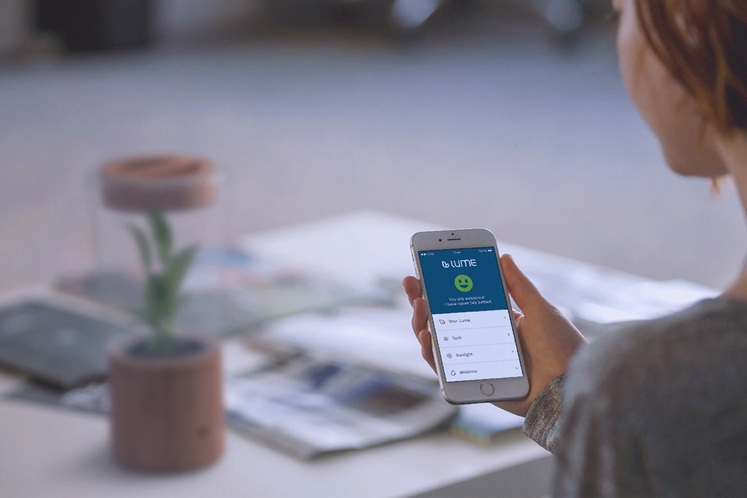 real，Plant lamp，originality，Design，intelligence，