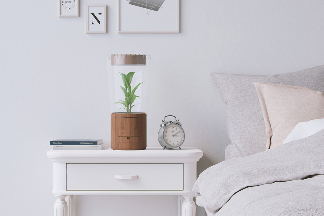 real，Plant lamp，originality，Design，intelligence，