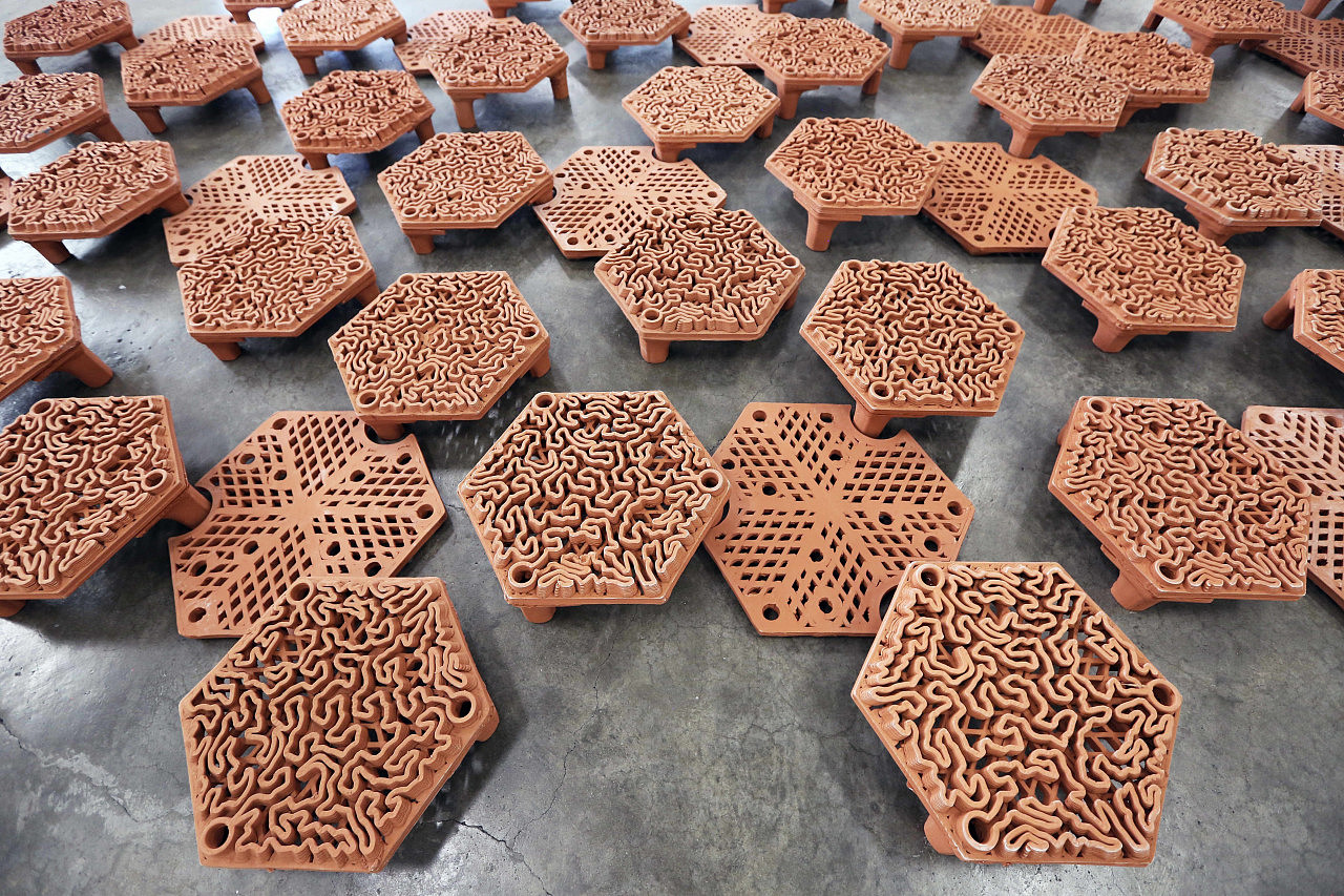 3D printing，ocean，Coral，bio-diversity，