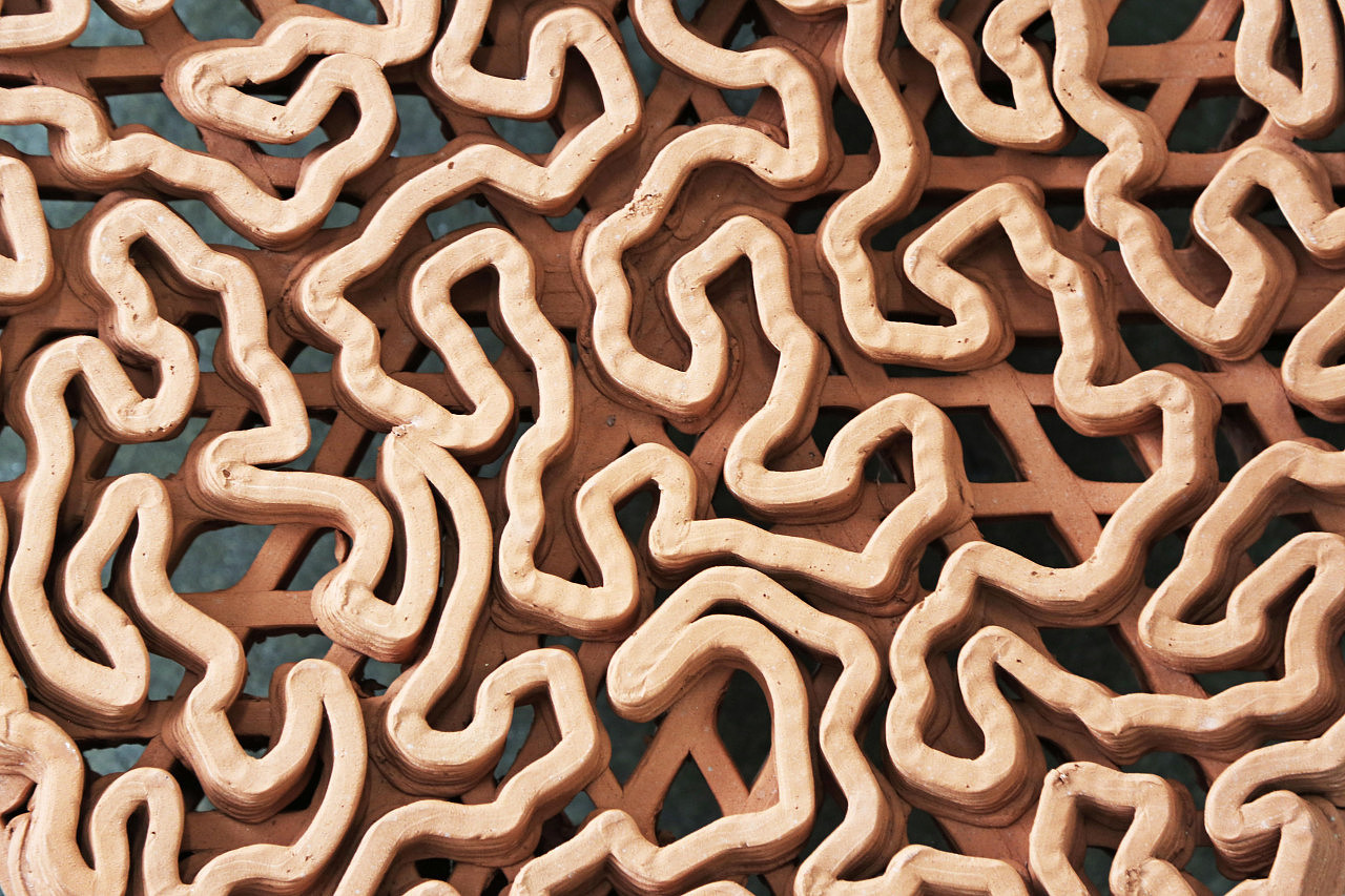 3D printing，ocean，Coral，bio-diversity，