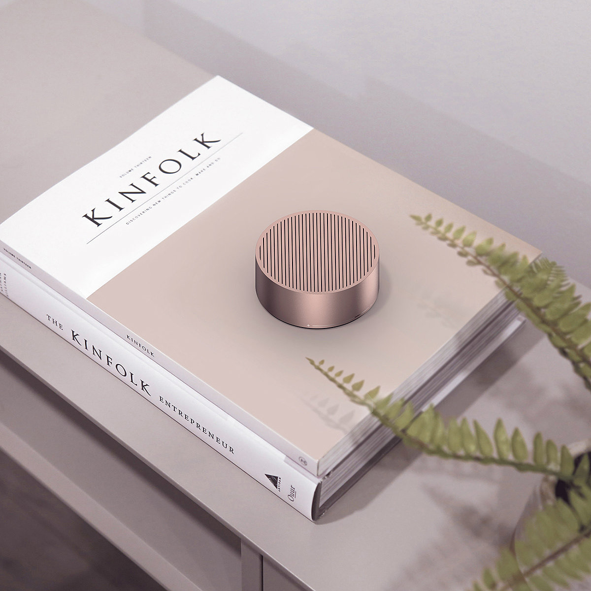 Bluetooth Speaker ，