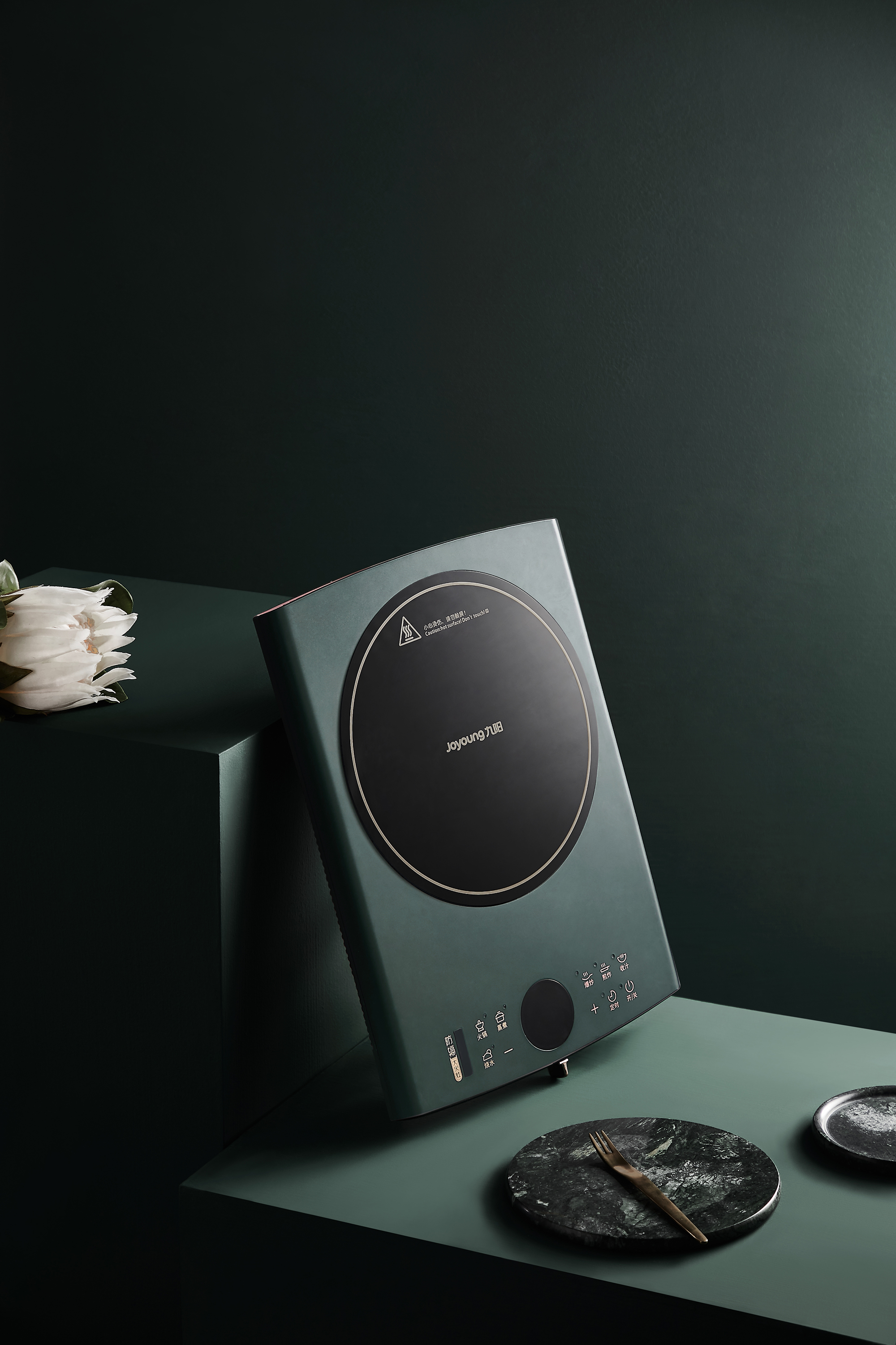 Electromagnetic furnace，radiation protection，