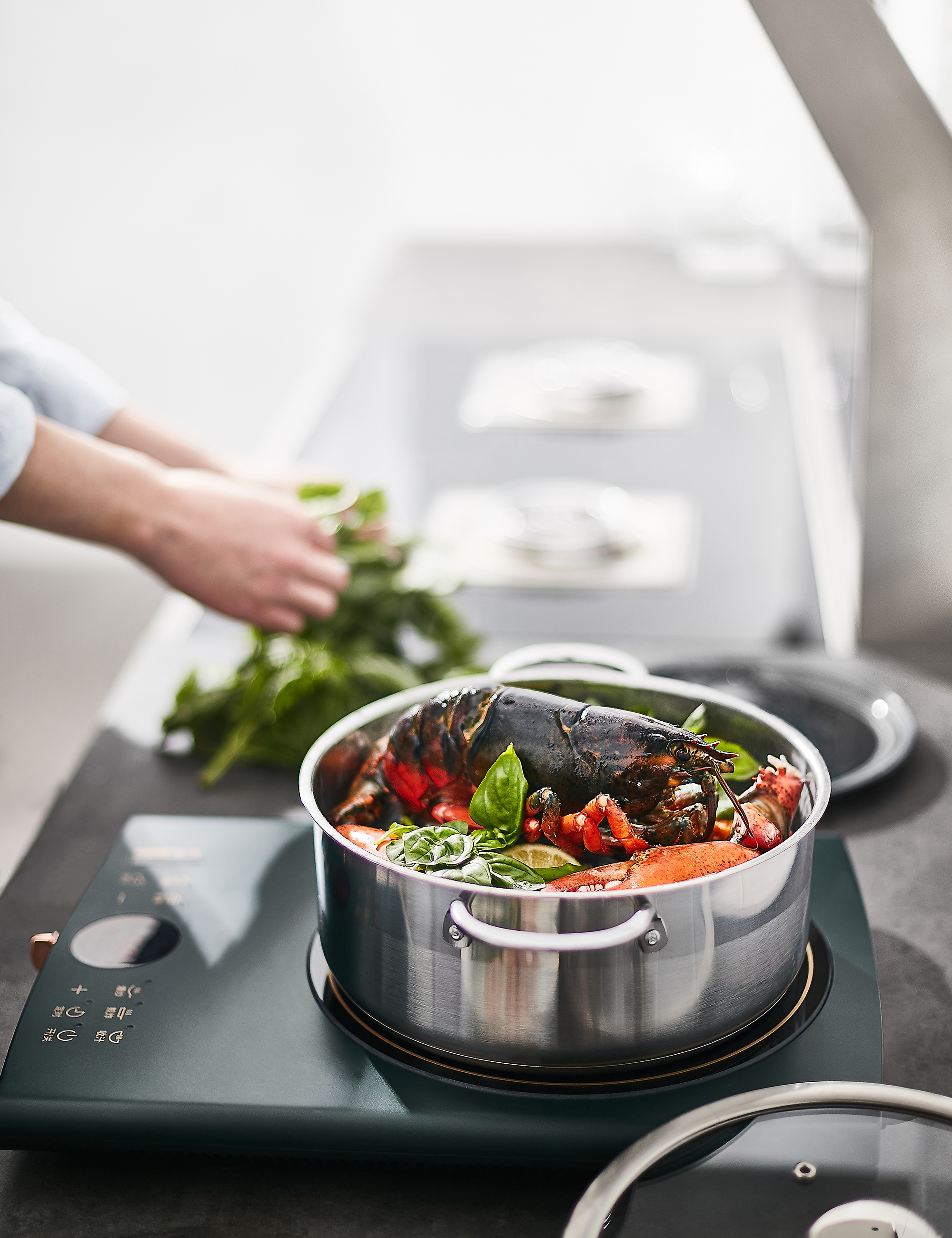 Electromagnetic furnace，radiation protection，