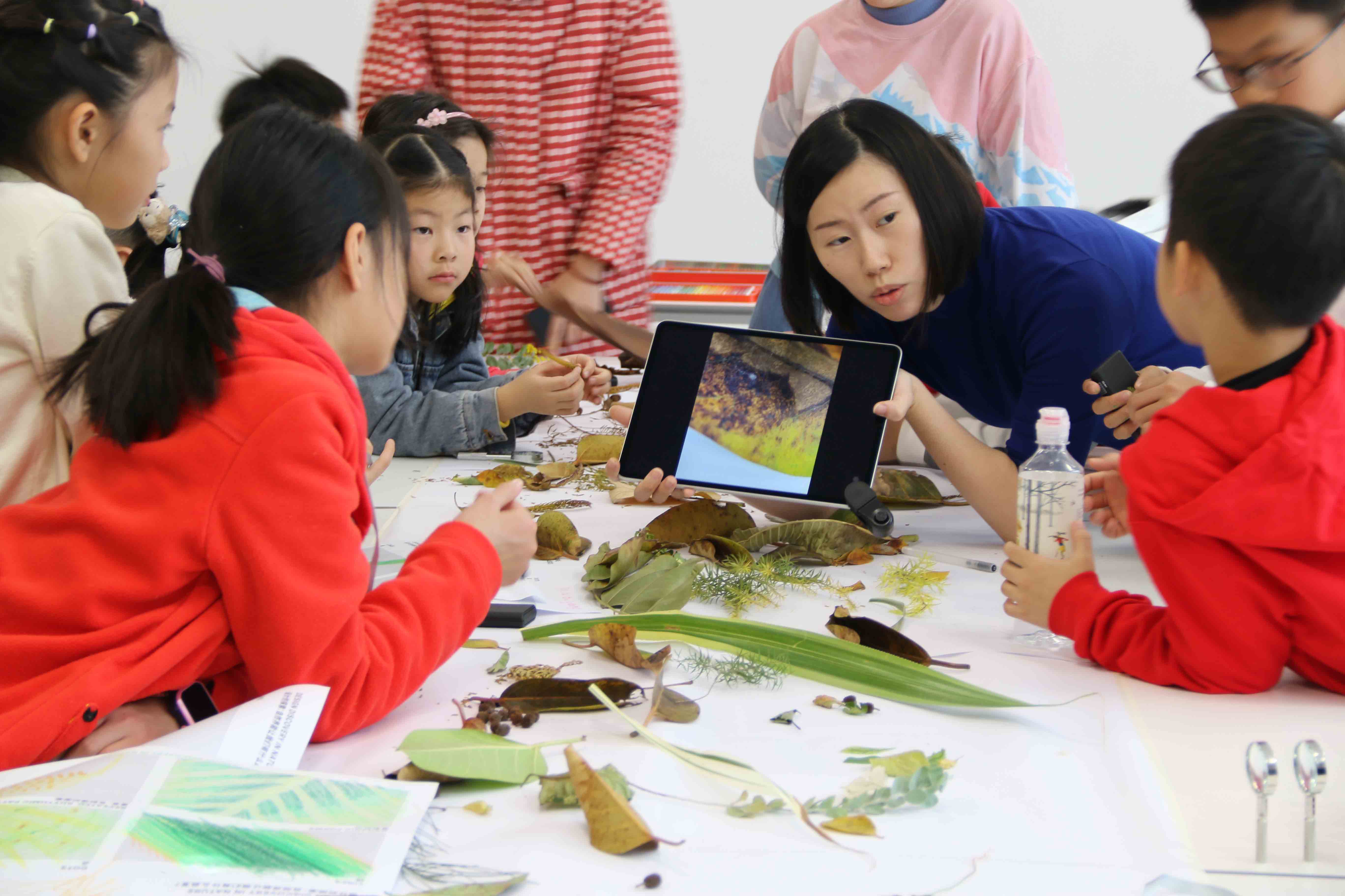 Design，curriculum，