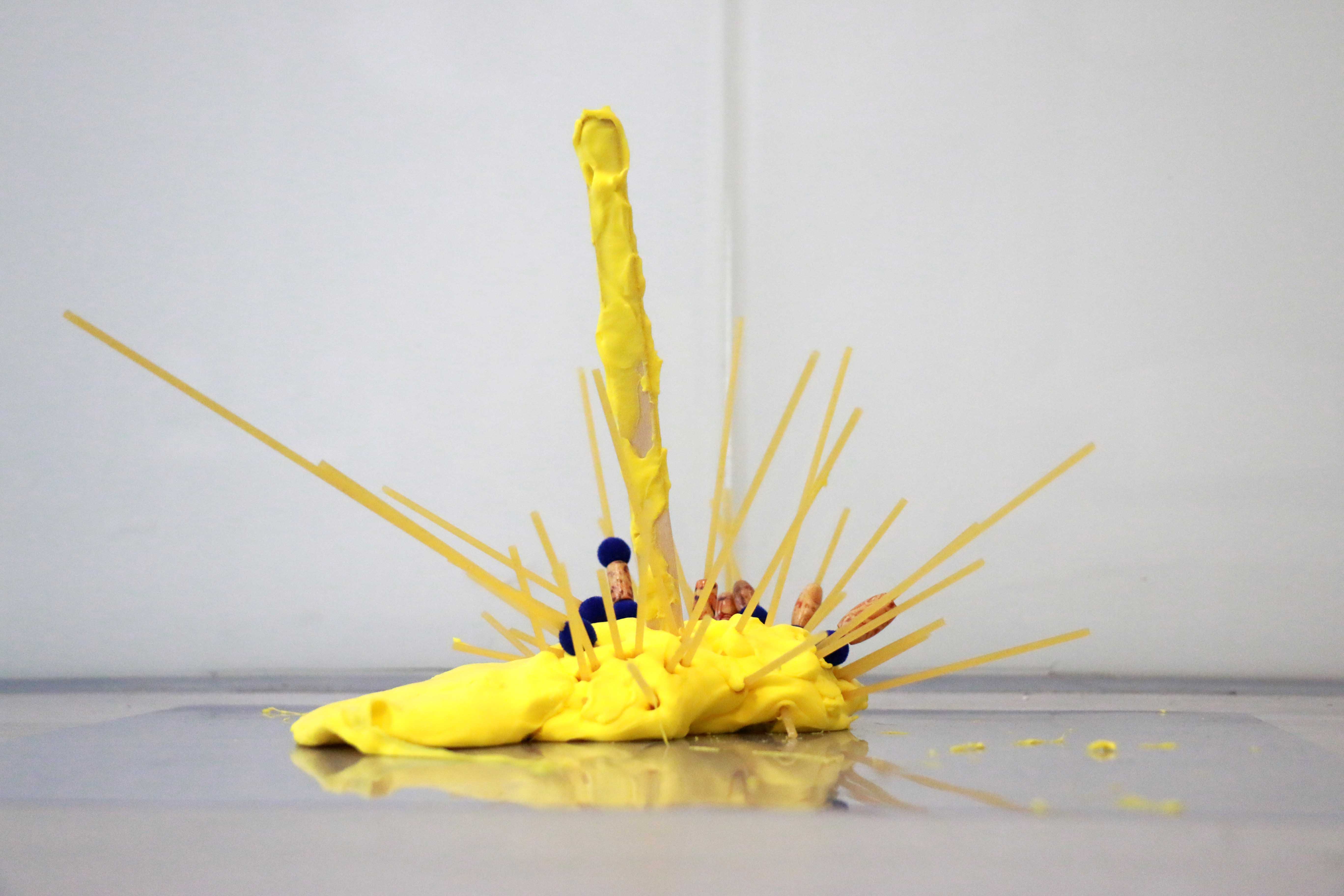 Design，curriculum，