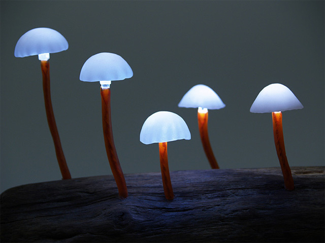 lovely，Mushroom，lamp，originality，Design，
