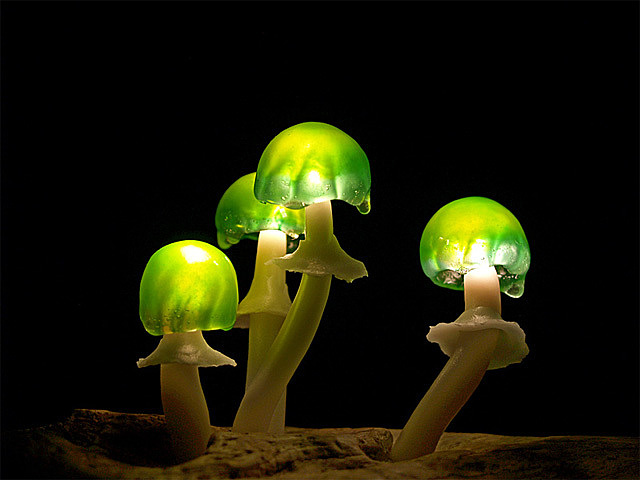 lovely，Mushroom，lamp，originality，Design，