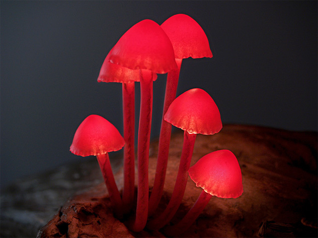 lovely，Mushroom，lamp，originality，Design，