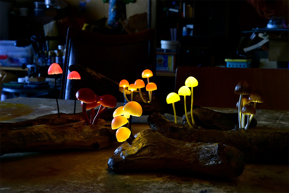 可爱，蘑菇，灯，创意，设计，