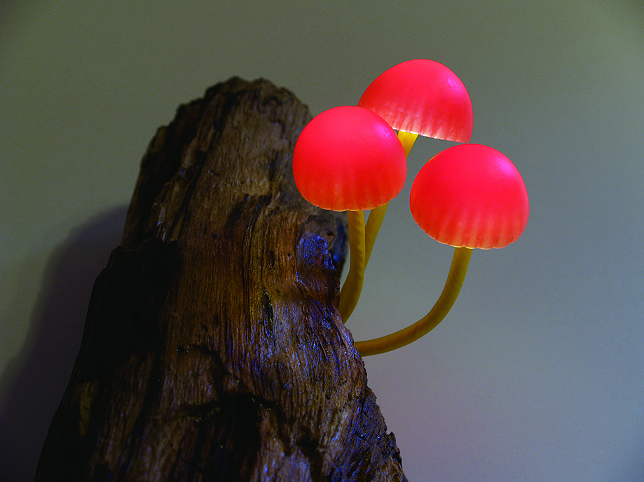 lovely，Mushroom，lamp，originality，Design，