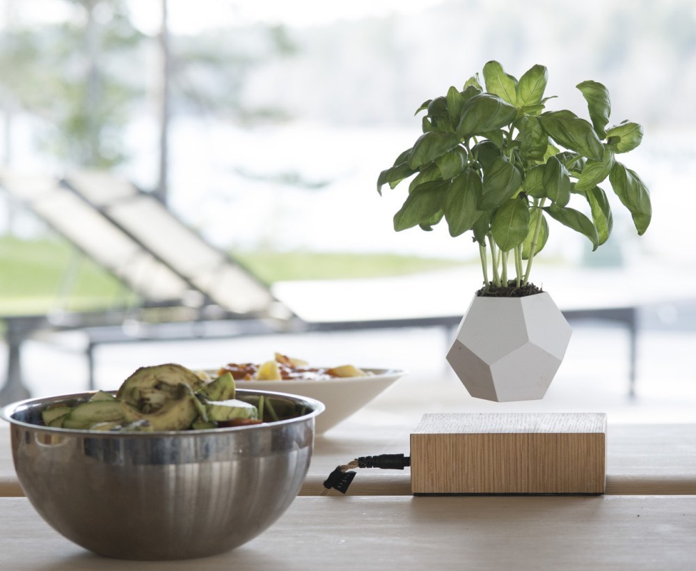 magnetic suspension，Flowerpot，originality，Design，tool，intelligence，