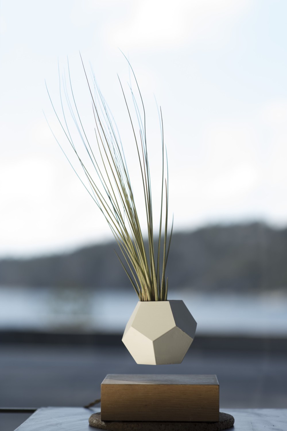 magnetic suspension，Flowerpot，originality，Design，tool，intelligence，