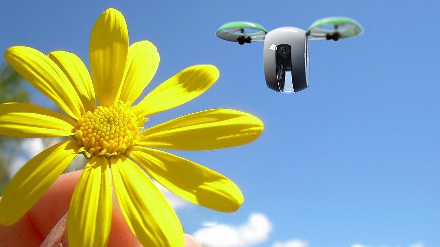 millet，UAV，concept，Design，originality，Digital，intelligence，