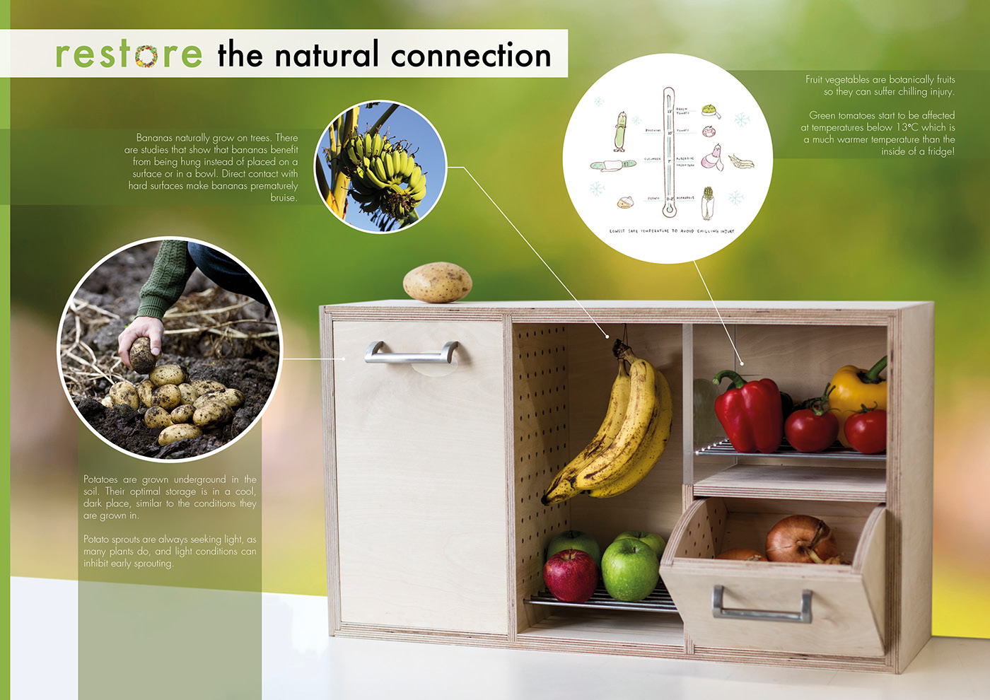 Restore - Optimal Storage for Fruit & Veg - 普象网