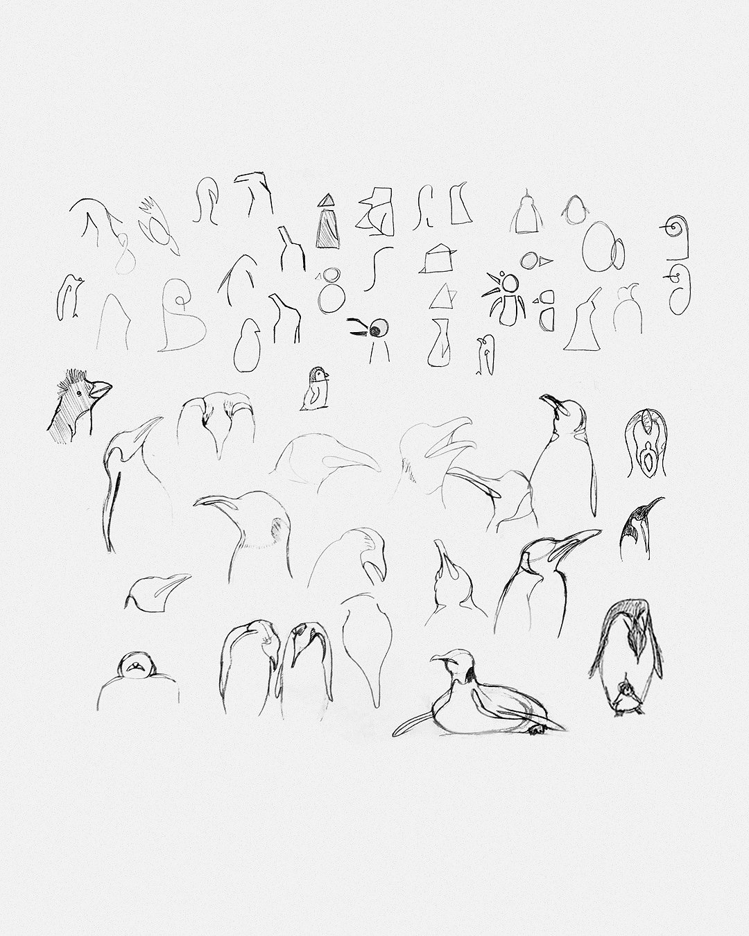 bionics，penguin，cancer，Water bottle，