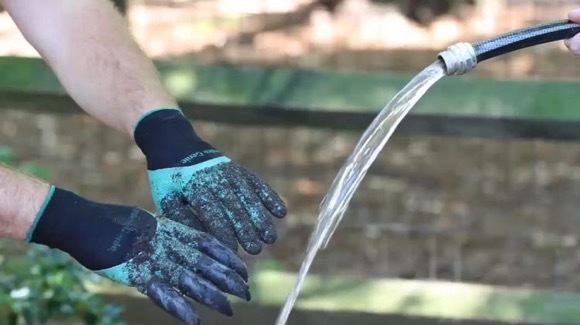 garden，Earth washing，necessary，Vajra claw，originality，Design，