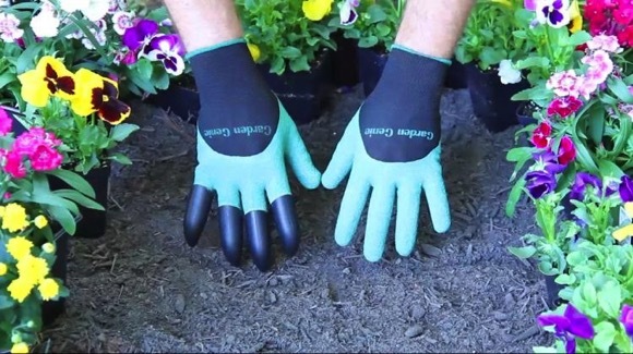 garden，Earth washing，necessary，Vajra claw，originality，Design，