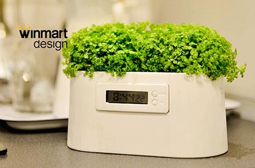 Botany，electricity generation，Electronic clock，originality，Design，tool，