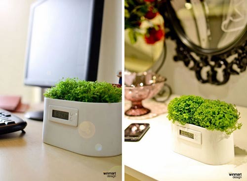 Botany，electricity generation，Electronic clock，originality，Design，tool，