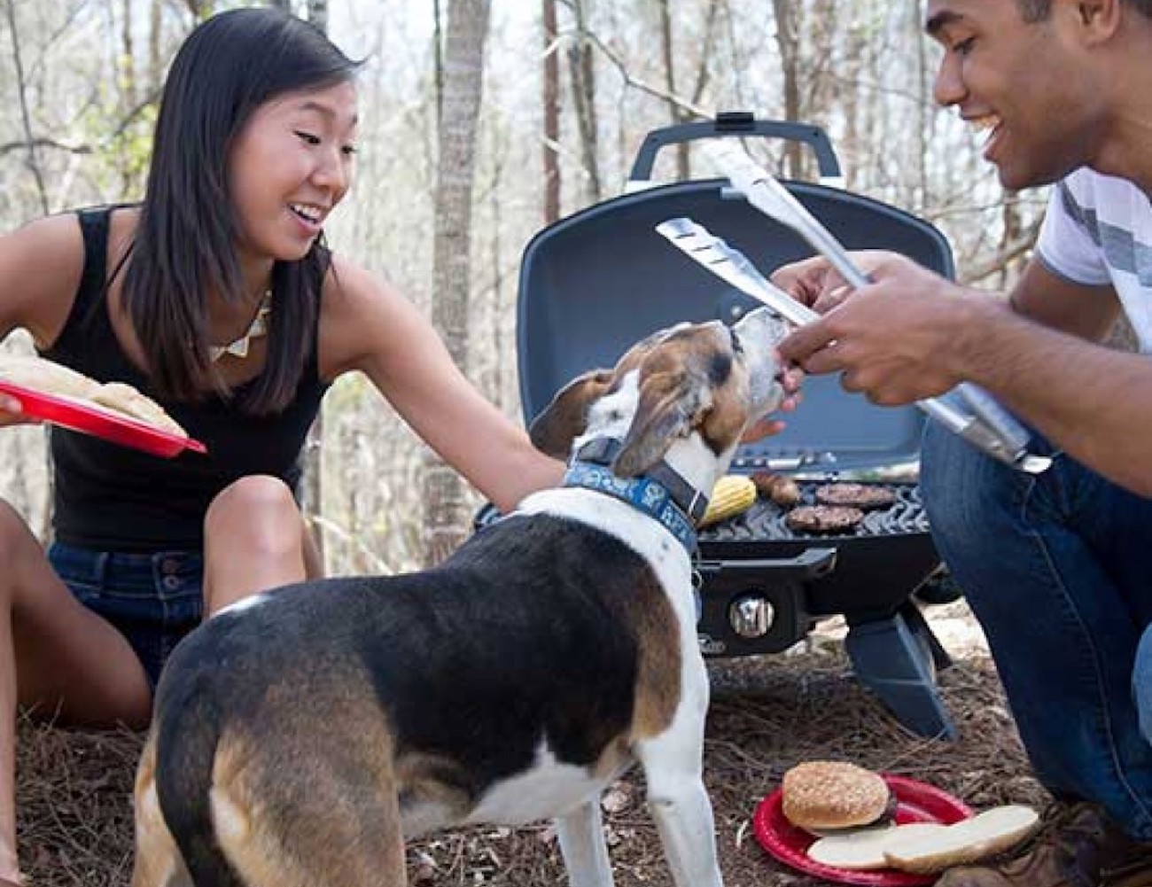 Napoleon，portable，Grill，