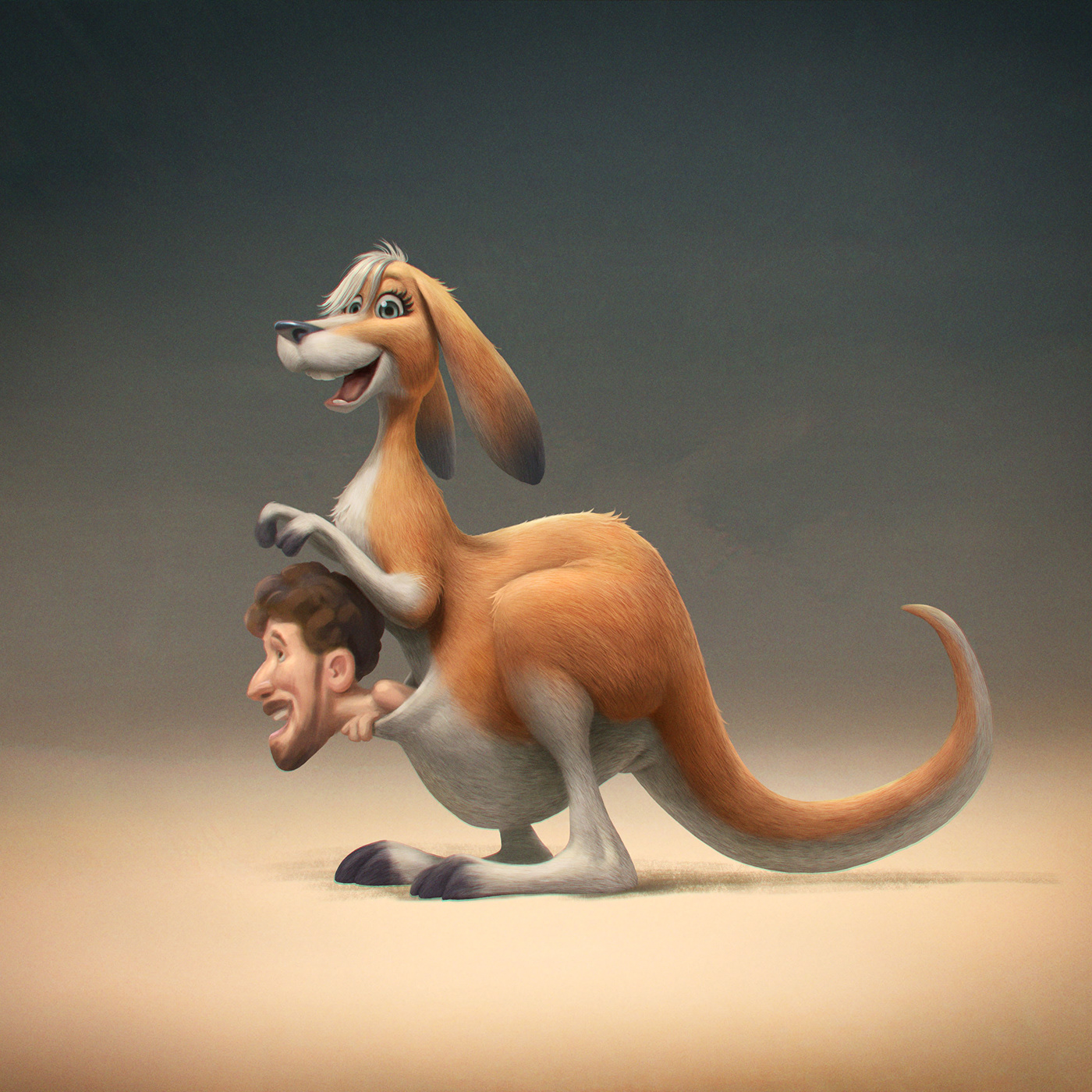 animation，video，role，animal，