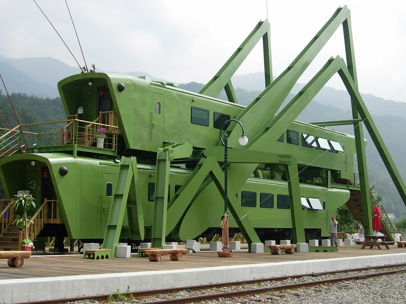grasshopper，insect，