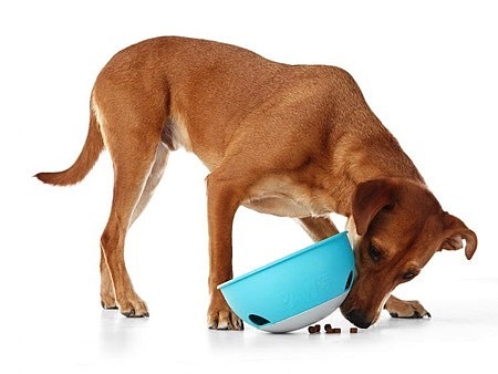 Interesting，Dog food，Feeder，originality，Design，