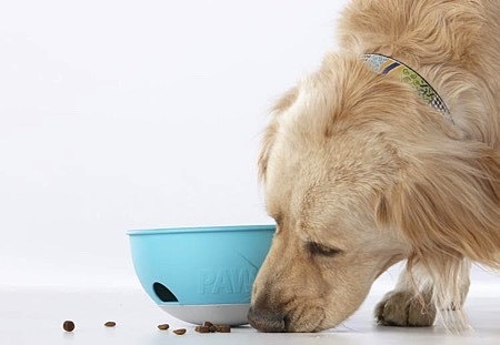 Interesting，Dog food，Feeder，originality，Design，