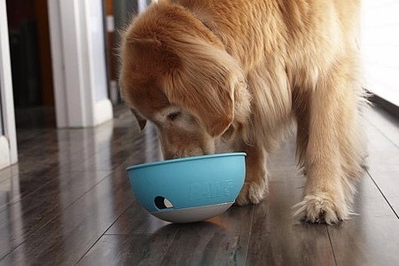Interesting，Dog food，Feeder，originality，Design，