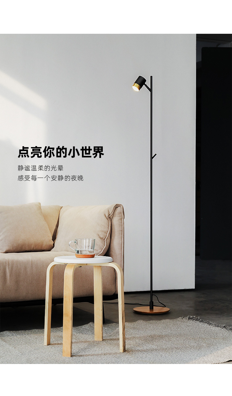 Floor lamp，Simplicity，modern，