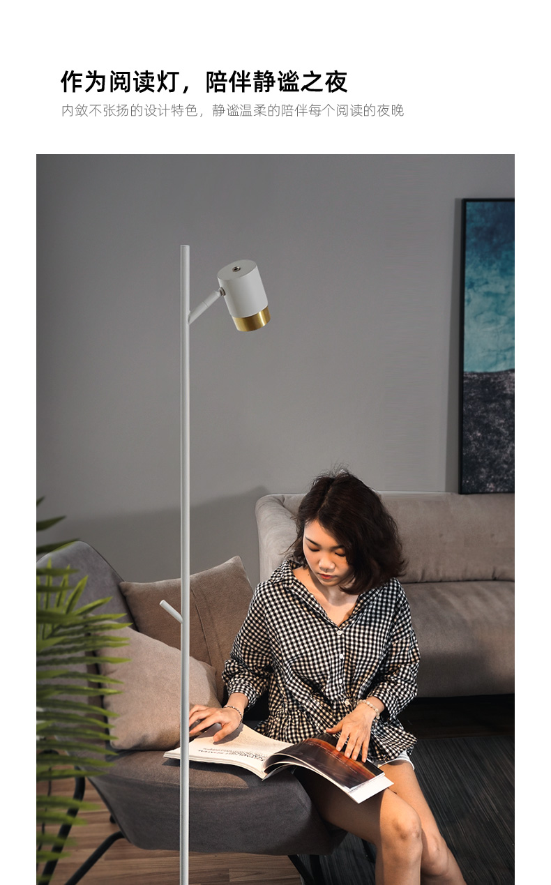 Floor lamp，Simplicity，modern，