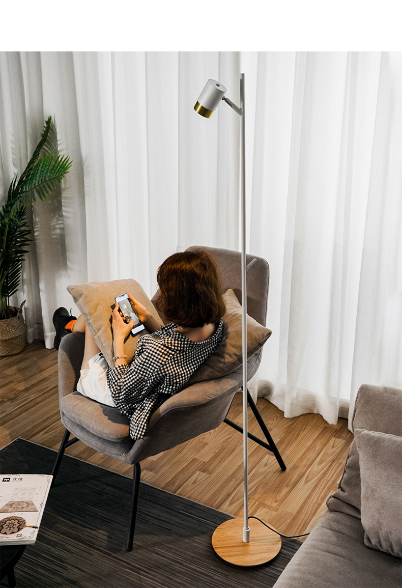 Floor lamp，Simplicity，modern，