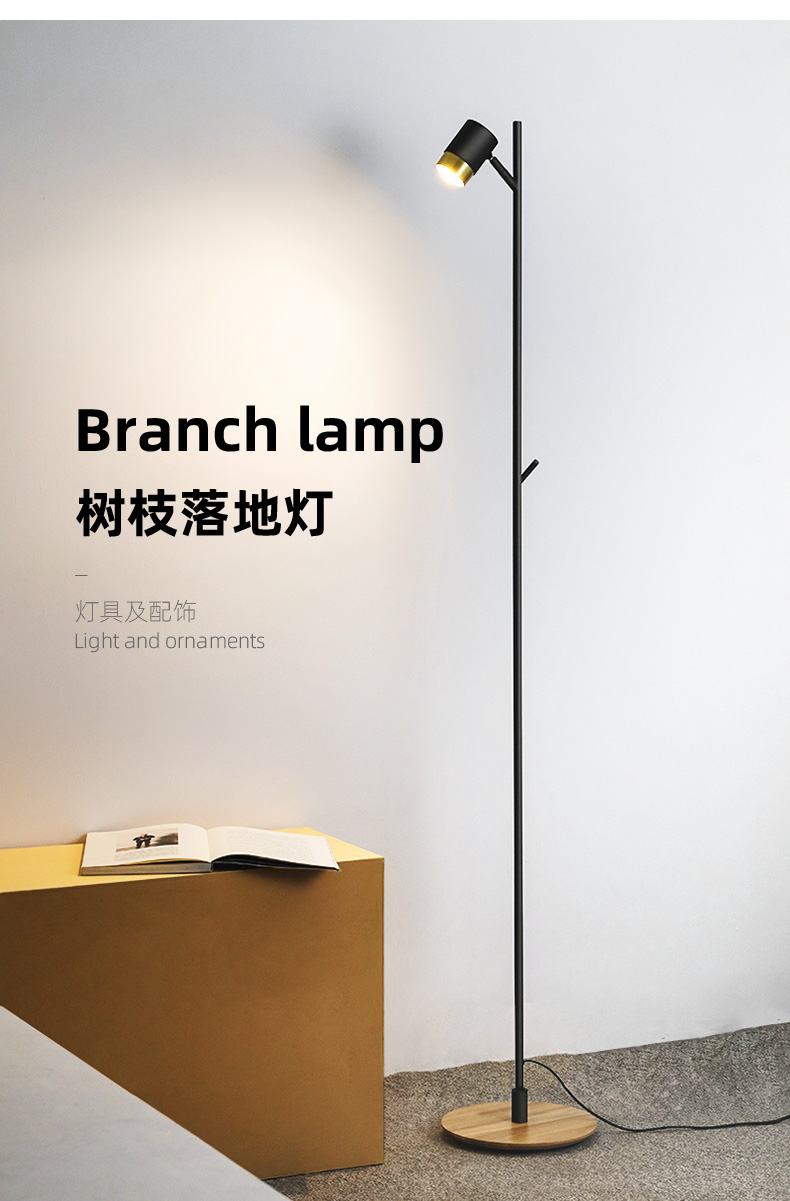 Floor lamp，Simplicity，modern，