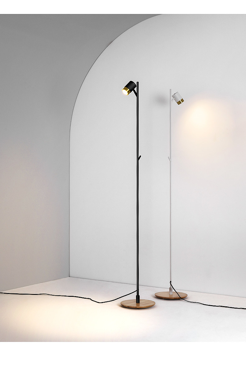 Floor lamp，Simplicity，modern，