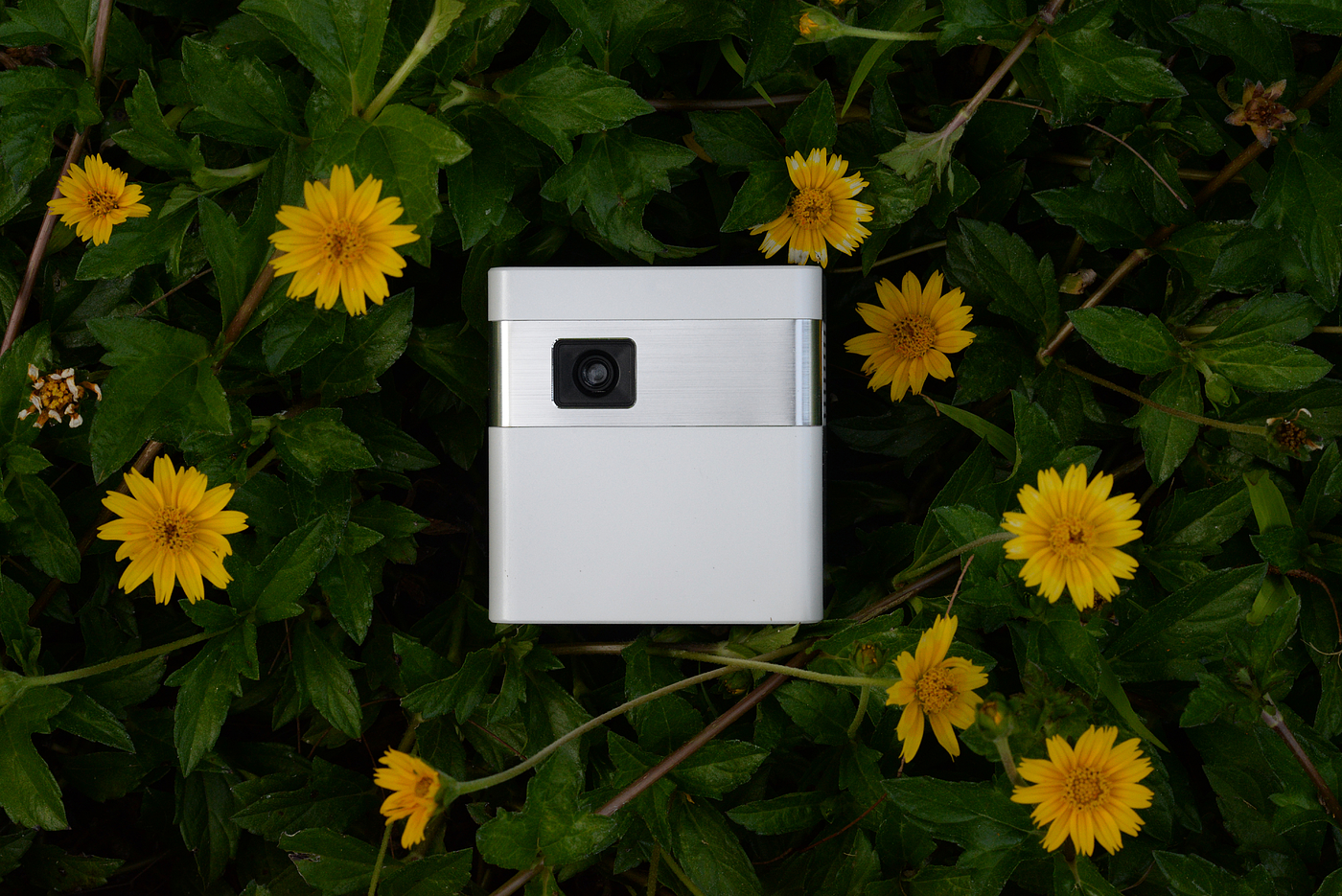 Intelligent projector，