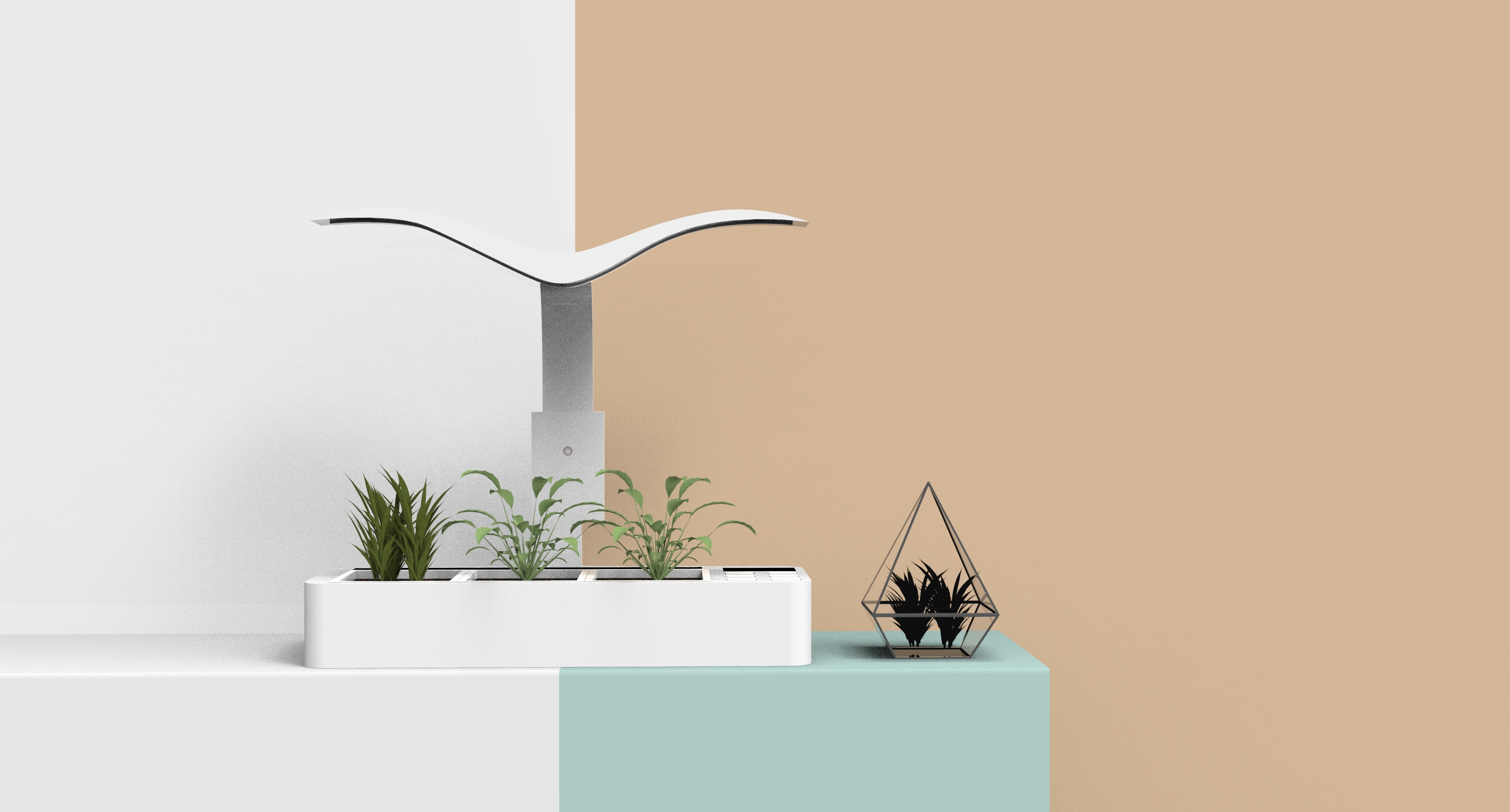 Intelligent potting，Potted plants，lamp，Botany，