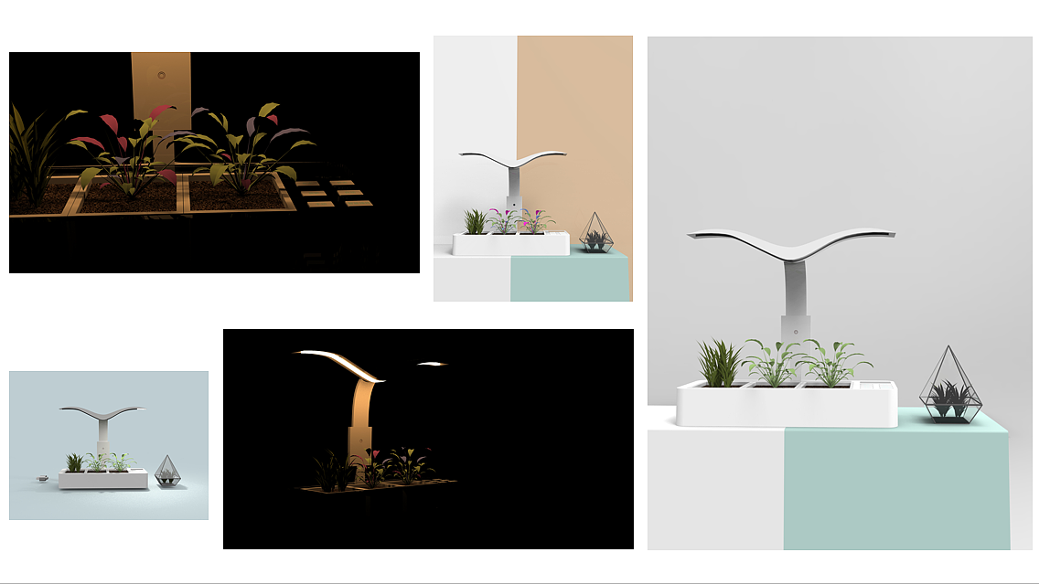 智能盆栽，盆栽，灯，植物，