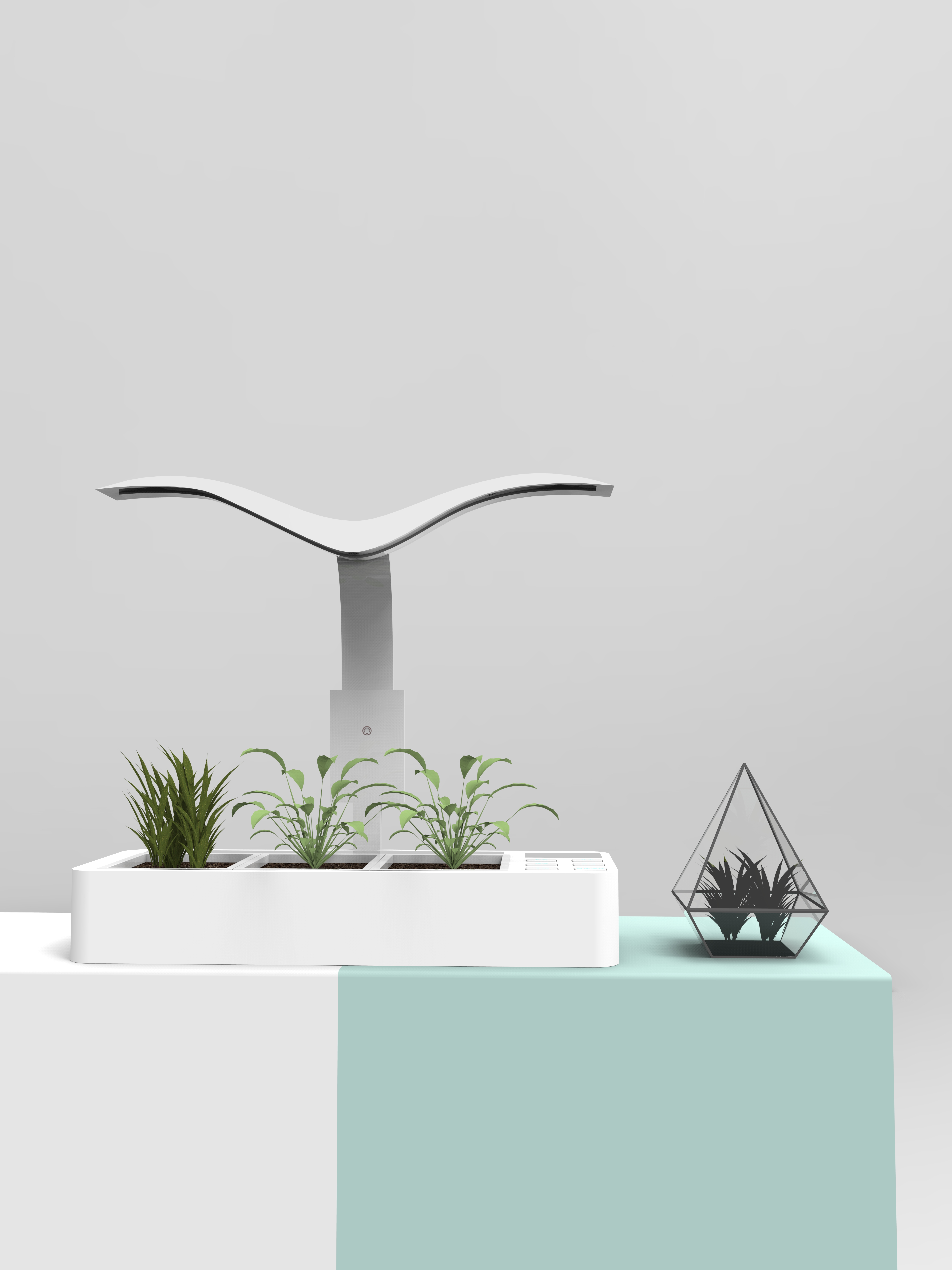 Intelligent potting，Potted plants，lamp，Botany，