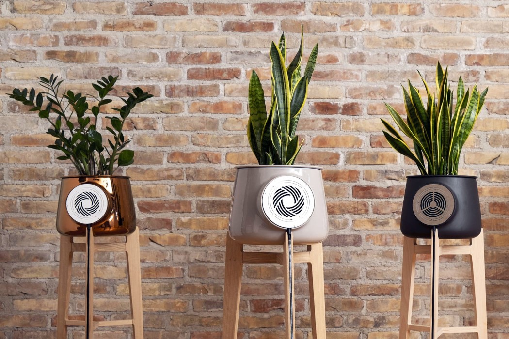 air cleaner，Botany，green，innovate，